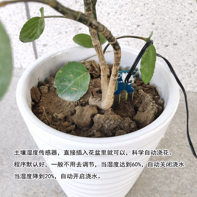 智能土壤温湿度自动浇花设备喷雾滴灌花盆干燥浇水地插喷头系统器