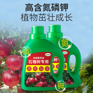 石榴树营养液石榴专用肥料水溶肥果树复合家用盆栽开花结果通用型