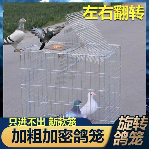 捕鸽神器鸟笼鸽笼养殖厂自动天落笼旋转笼翻板笼镀锌