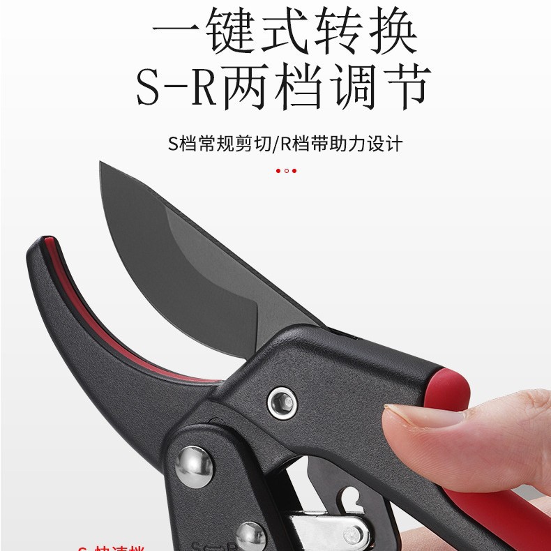 园艺摘果剪阳江不锈钢剪盆景果树修枝剪多功能葡萄花椒剪园林工具 - 实物图