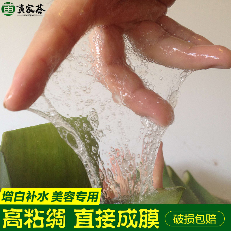 黄家荟库拉索芦荟美容院专用灌肤敷脸植物新鲜叶片可食用绿植盆栽图片
