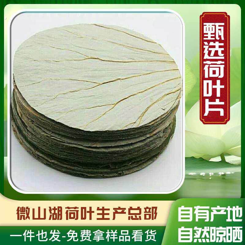 直销微山湖干荷叶糯米鸡木桶饭垫底新鲜莲藕叶 圆形荷叶整张