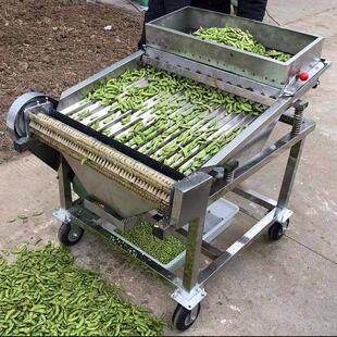 全自动毛豆剥皮机剥壳器剥豆器拨仁机机蚕米豆新款商用去剥皮机机