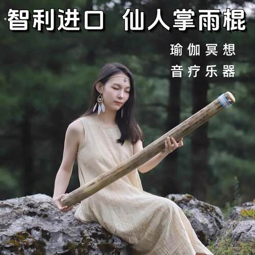 仙人掌雨棍雨声棒南美智利海浪拟声疗愈乐器冥想减压助睡眠