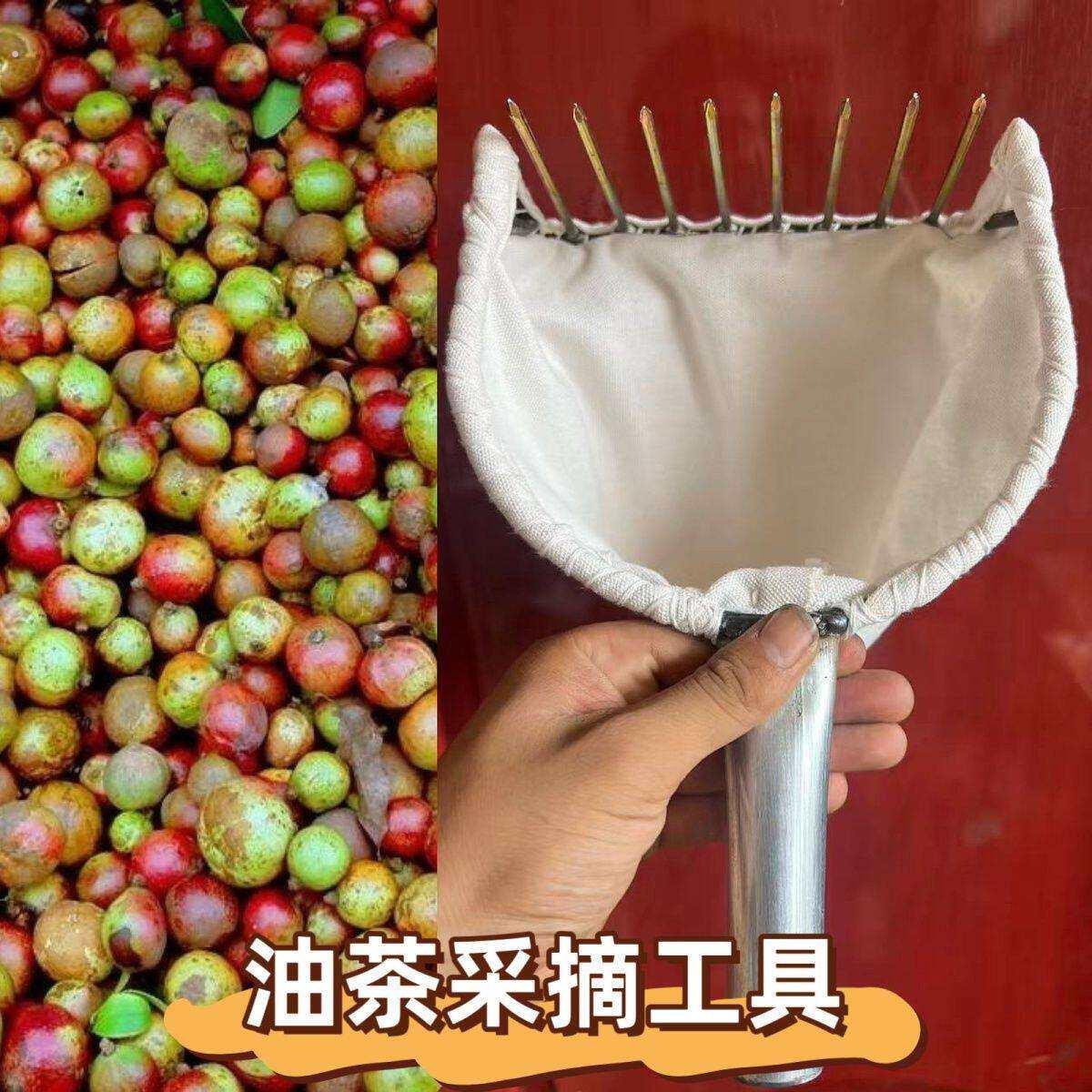 剥山核桃专用工具8齿16毫米间距摘茶树籽茶油果山茶籽工具山核