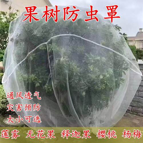 果树防虫网罩蓝莓杨梅莲雾大棚网桃树樱桃网罗曼蚊帐防果蝇针蜂