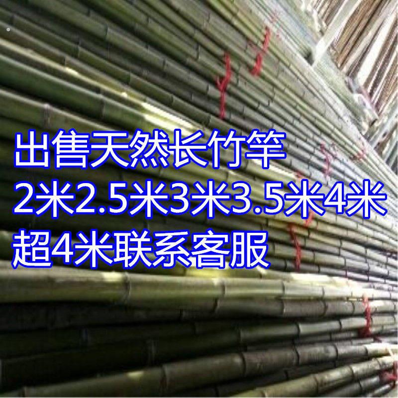 天然长竹杆1米2米3米4米5米6米竹竿粗竹竿大毛竹杆搭架立柱竹子杆