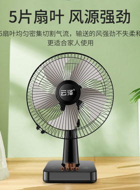 云泽台式电风扇家用床头大风力可摇头定时16寸宿舍办公室桌面电扇