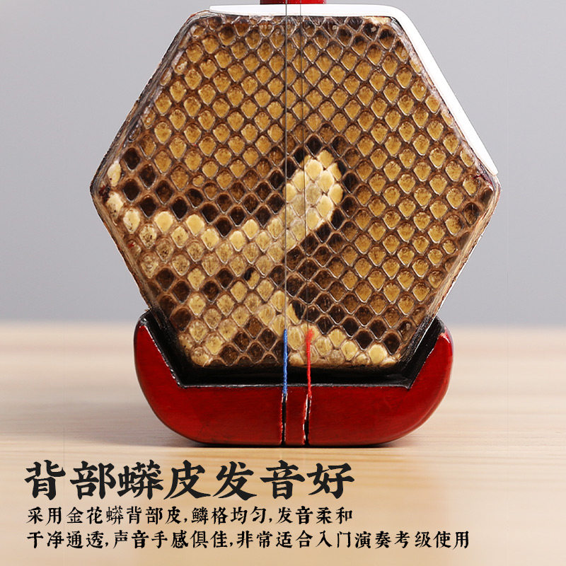 初学二胡扁杆乐器专业吴越二胡背皮成人儿童通用木轴铜轴红色练习