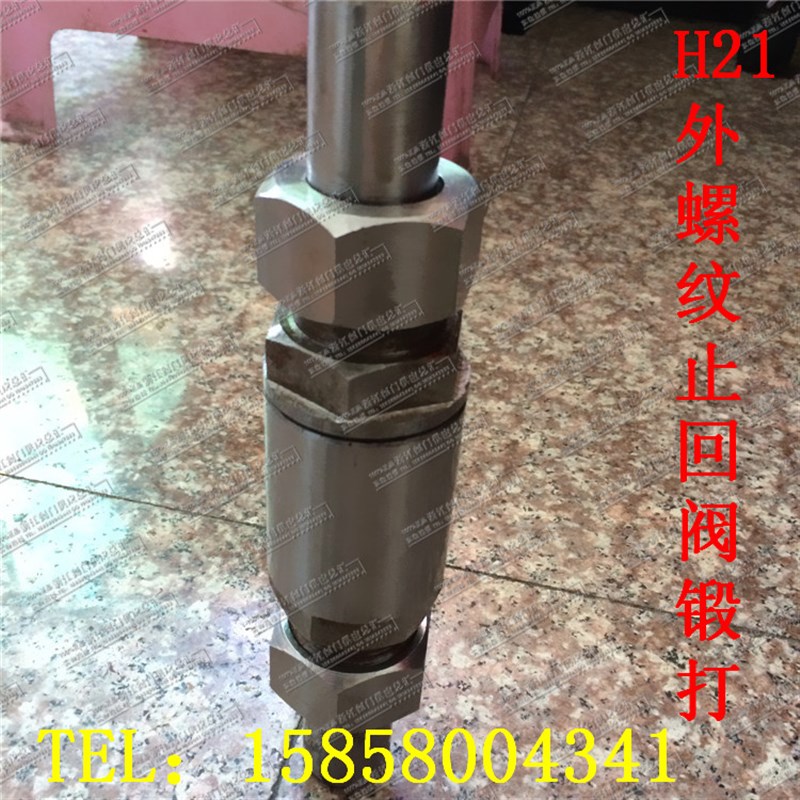 H21H/W-16C/25P/64P-DN25/32外螺纹焊接止回阀/不锈钢高压止回阀