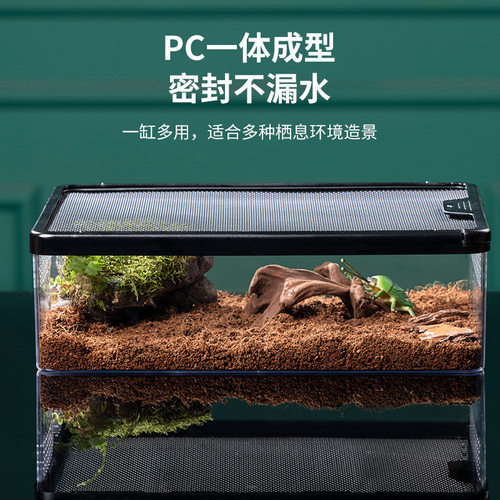 爬宠饲养盒守宫蜥蜴蜘蛛蛇蚕蜗牛饲养盒昆虫蠍子乌龟角蛙爬虫箱