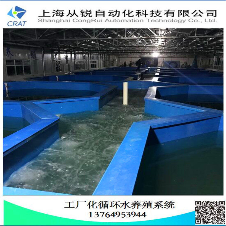 上海从锐1000㎡工厂化鲑鱼养殖设备/循环水养殖鲑鱼/室内养殖系统