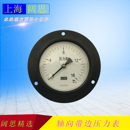 YJ-100ZT16bar轴向带边压力表面板式压力表可充油耐震压力表