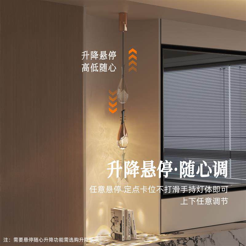 兰因琵琶半遮面玄关小吊灯新款创意过道走廊卧室床头吊线灯可升降