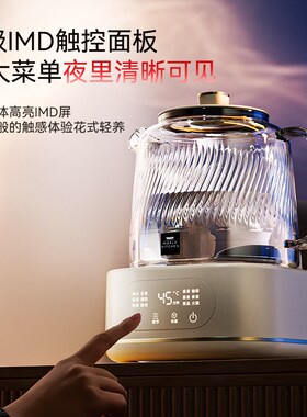 康宁二代全玻璃养生壶 高硼硅玻璃煮水壶带炖盅组合