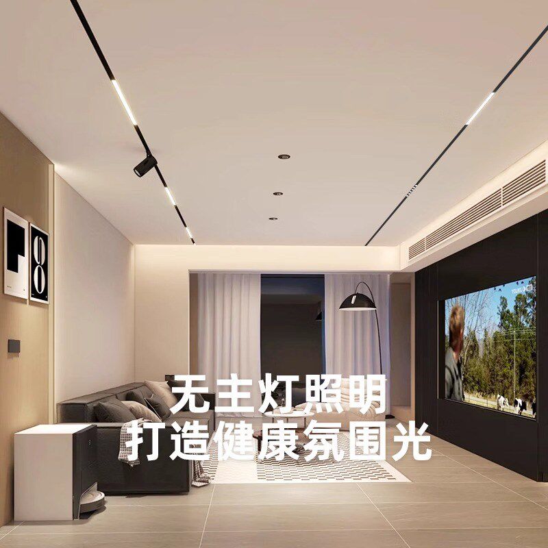 磁吸轨道灯48V智能调光格栅灯台湾可用变压器全光谱护眼射灯