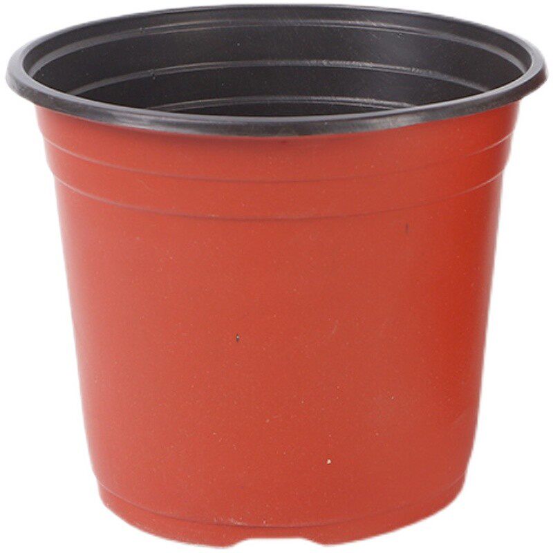 双色盆简易加厚一次性塑料花盆育苗盆大号营养钵培育盆多肉种植盆
