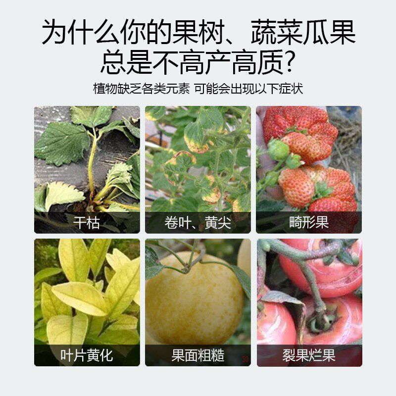 钙镁硼锌铁微量元素水溶肥料中微量元素生根冲施肥正品颗粒水溶肥
