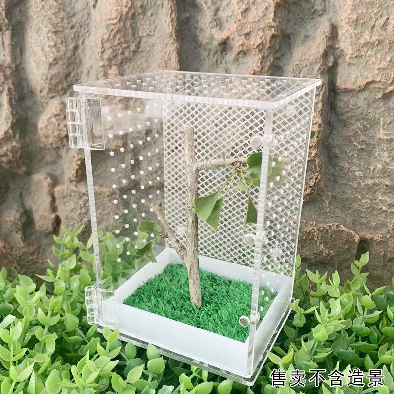 爬宠饲养箱树栖饲养盒树蛙饲养箱睫角蜘蛛蜗牛螳螂饲养盒昆虫盒
