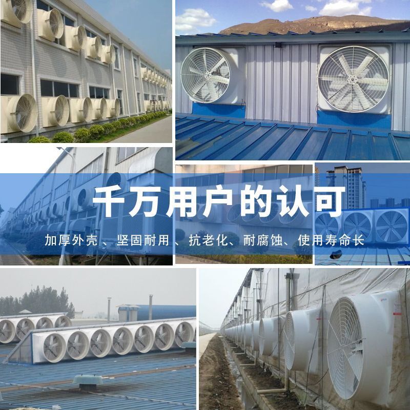 工业排气扇玻璃钢耐潮防锈负压风机车间仓库养殖场降温通风排异味