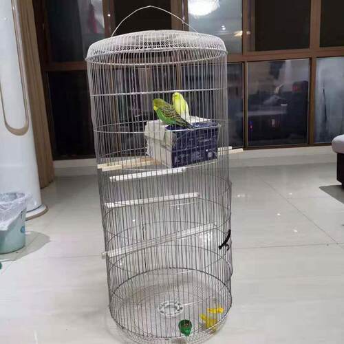 笼子网镀锌铁丝网鸟笼网铁网格网电焊养殖拦鸡围栏防护网钢丝