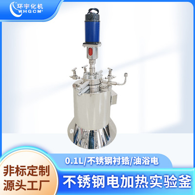 环宇0.1L不锈钢电加热反应釜