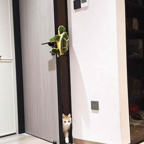 猫咪留门缝门挡搞怪可爱乌龟防撞防夹手毛绒玩偶宠物专用留门神器