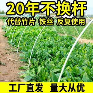 玻璃纤维拱杆小拱棚支架竹子农用玻璃纤维育苗杆内棚竿子蔬菜园简