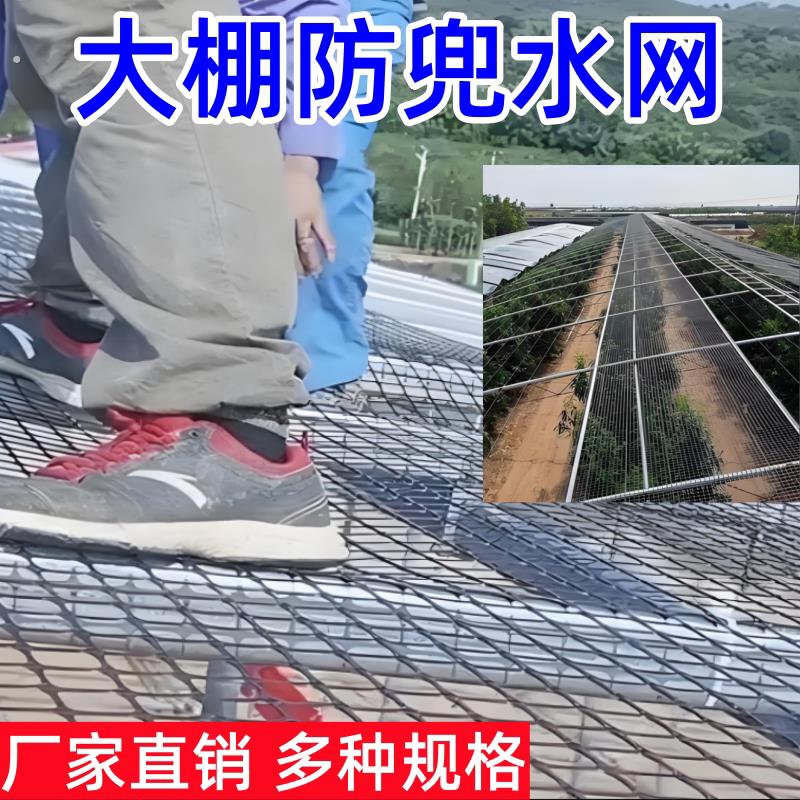 大棚风口防兜水网防雨雪冰雹积水拖膜防乌网优质小孔防护果园产品
