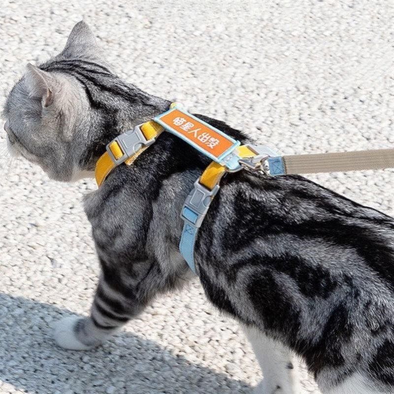 宠物猫咪牵引绳防挣脱外出用品背心式胸背带专用遛猫绳子栓猫琏子