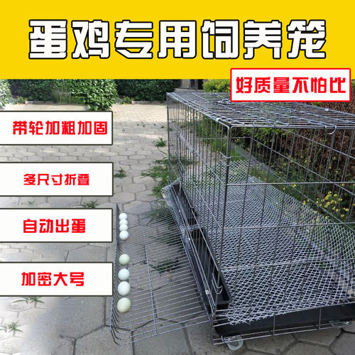 家用自动滚蛋特大号鸡笼鸡舍鸡笼子养殖笼运输加粗鸭笼鹅笼兔笼