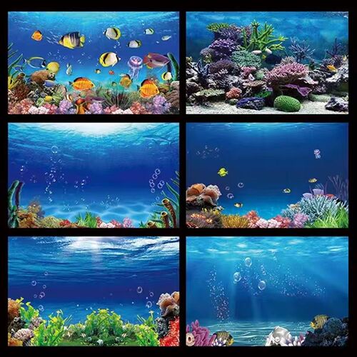 鱼缸背景纸画高清图3d立体壁纸海底世界海洋世界鱼缸背景