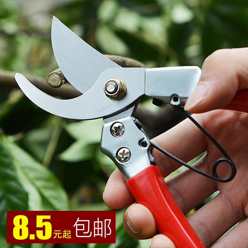 包邮 园林花木修剪工具 修枝剪 果树剪刀 整枝剪 园艺剪枝树