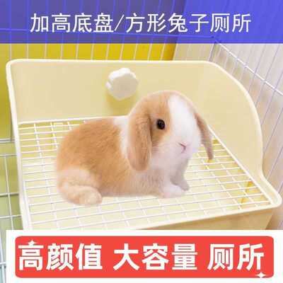 兔子厕所盆大号荷兰猪防喷溅挡板宠物室内尿盆龙猫加高方形厕所
