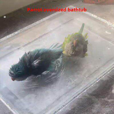鹦鹉浴缸浴缸浴缸浴缸浴缸浴缸浴缸浴缸鸟浴缸浴缸芦丁鸡超大浴缸