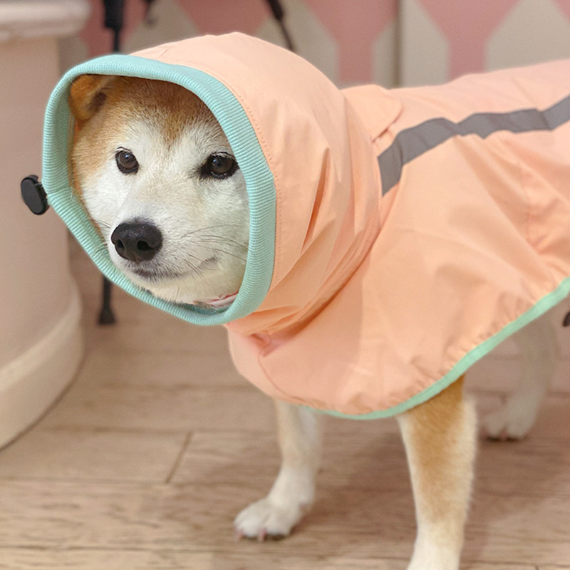 狗狗雨衣中小型犬外出出行安全反光条四季宠物柴犬柯基雨披防水衣