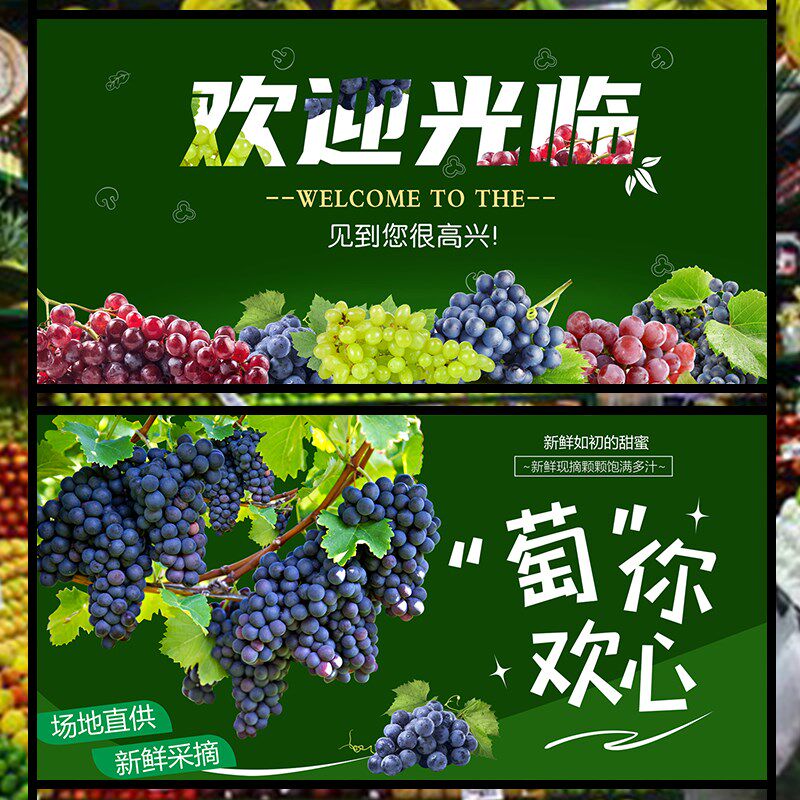 水果店高清新鲜葡萄阳光玫瑰夏黑软装墙贴