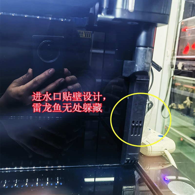 雷龙鱼专用超白玻璃鱼缸客厅小型家用水族箱生态玻璃金鱼缸水草缸