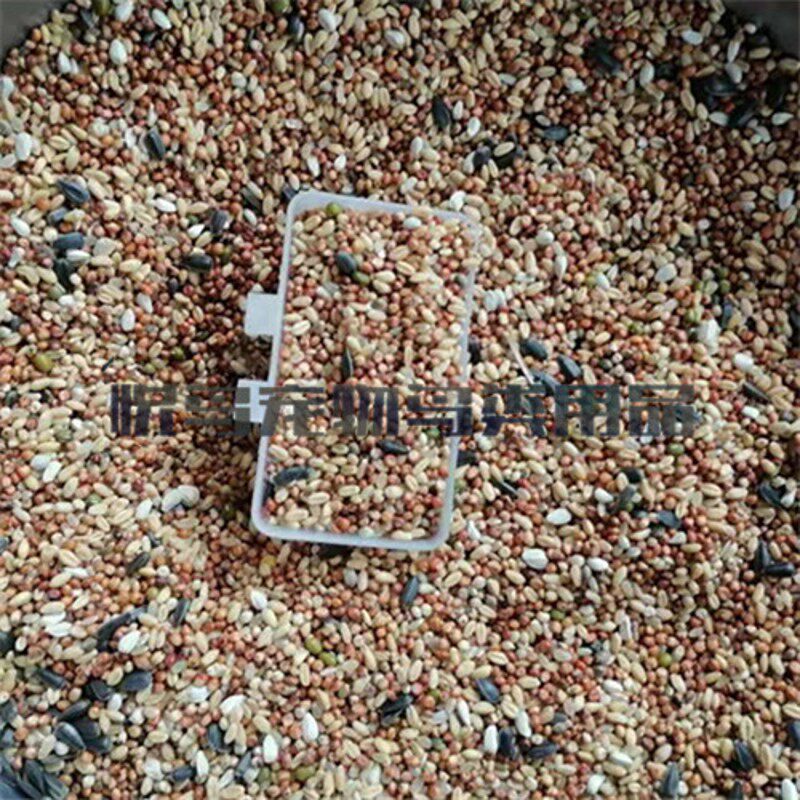 A级无玉米无豌豆鸽粮50斤广东包邮 鸟食 免邮鸽饲料 包邮广东