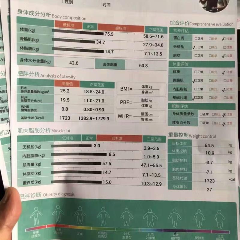 体测仪打印纸健身房专用亿迈T6200EM特泽瓦报告纸分析纸英文版