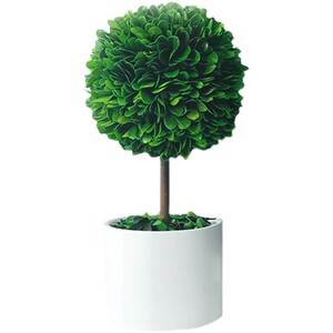 北欧四季植物室内盆栽办公室桌面小绿植装饰摆件干花球形好养易活