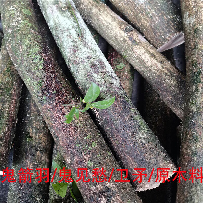 鬼箭羽木料木雕鬼见愁木料手串佛珠手把件卫矛雕刻料车珠子四棱木