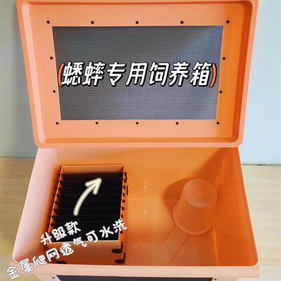 蟋蟀蟑螂杜比亚饲养箱白蟋蟀养殖盒针头蟋蟀饲养箱油葫芦蛐蛐