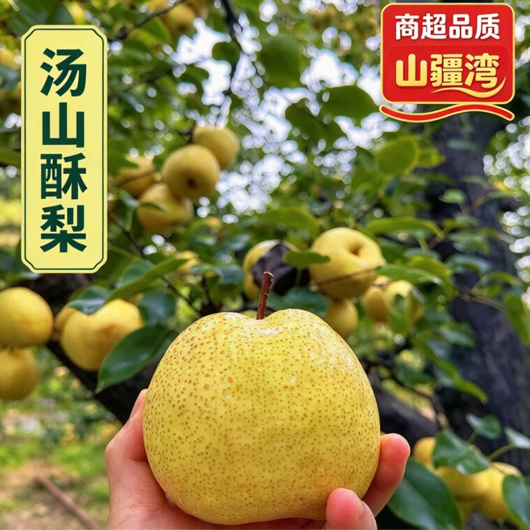 山疆湾安徽砀山酥梨净重7.5斤