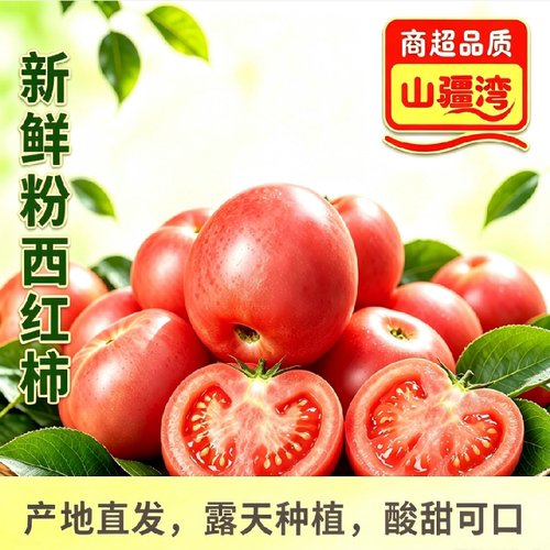 攀枝花番茄，现摘现发