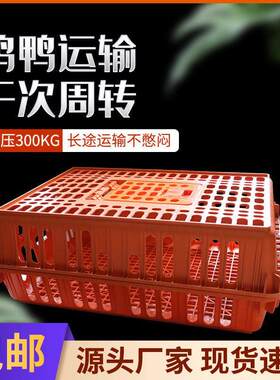 红色鸡笼塑料家用养鸡笼方便运输筐鸡笼喜庆鸡鸭鹅鸽笼周转运输笼