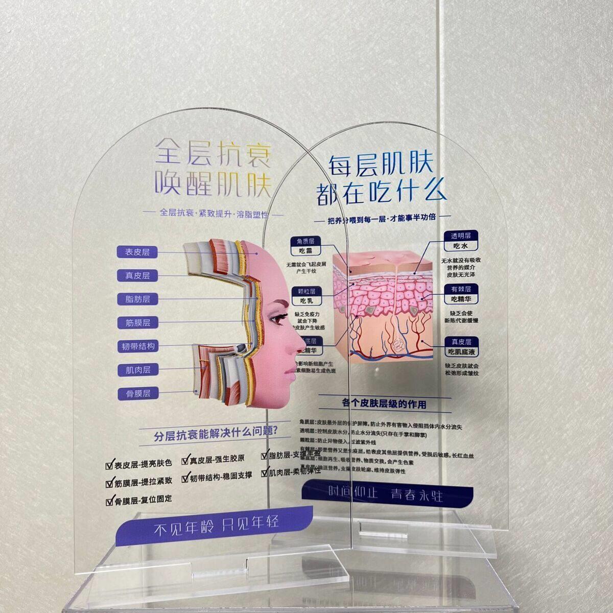 皮肤结构模型美容院皮肤层次模型亚克力面部展示牌讲解专业知识牌