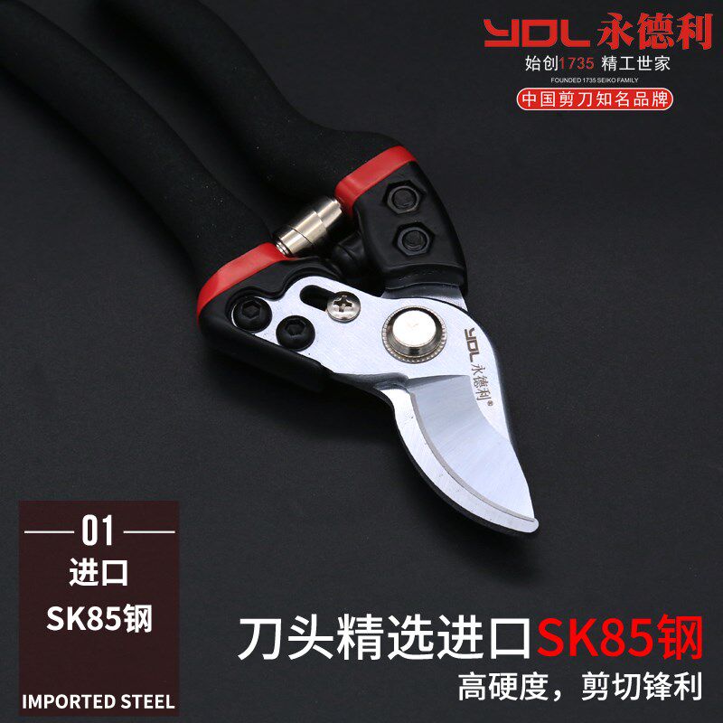 永德利剪刀修枝剪果树枝专用家用园艺剪花卉强力剪树剪子园林绿植