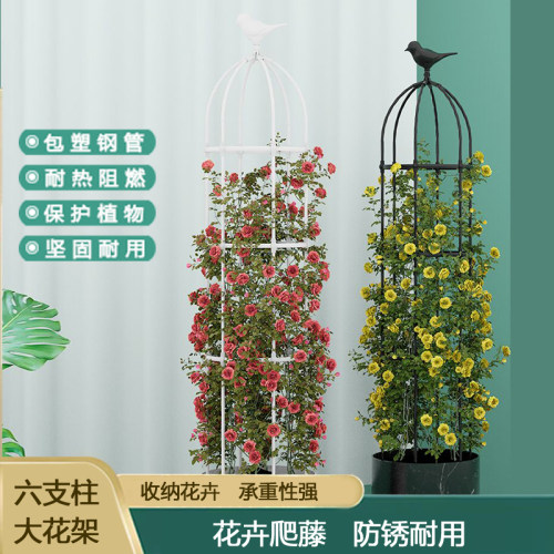 爬藤架藤架大号玫瑰花架铁线莲月季花支架植物花盆支撑攀爬架子