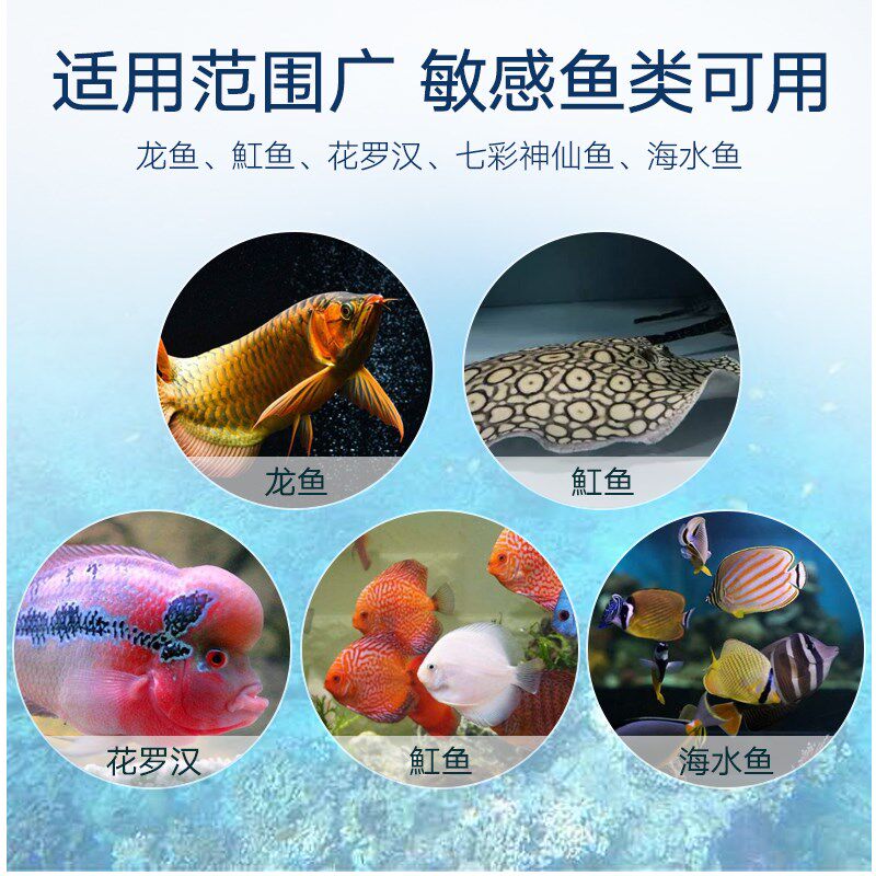 鱼缸水族大白片观赏鱼血鹦鹉鱼龙鱼罗汉鱼内寄头洞肠炎外寄非鱼药